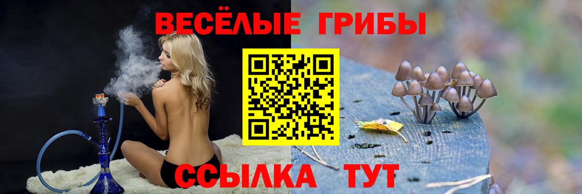Псилоцибиновые грибы Cubensis  Вход с VPN  Барабинск  Псилоцибиновые грибы прущие грибы 